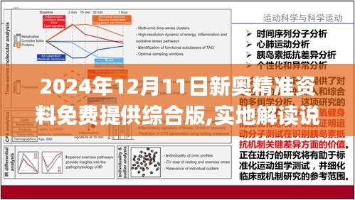 2024新奥正版资料免费大全，综合解答解释落实_sr45.67.04